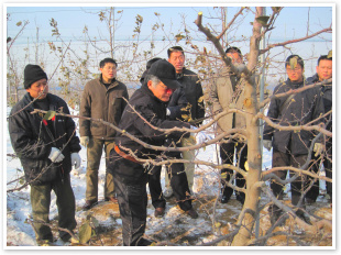 专业培训1