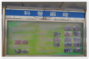 专业培训3