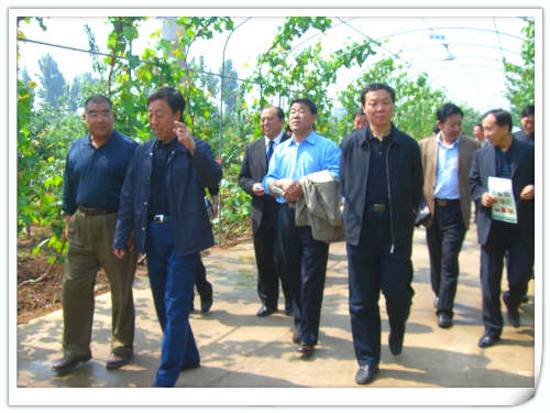 2008年区人大领导来天汇园指导工作 2008年区人大领导来天汇园指导工作