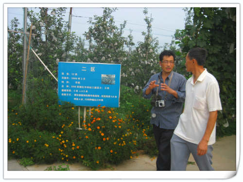 2011.8.24国家苹果产业技术体系岗位专家李夏鸣研究员来天汇园考察指导 2011.8.24国家苹果产业技术体系岗位专家李夏鸣研究员来天汇园考察指导