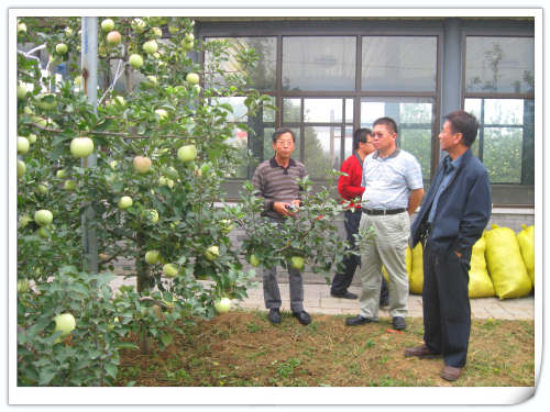2011.9.28烟台农科院领导来天汇园参观指导 2011.9.28烟台农科院领导来天汇园参观指导