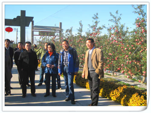 2011.10.25魏老师带政协领导来昌平天汇园参观考察 2011.10.25魏老师带政协领导来昌平天汇园参观考察