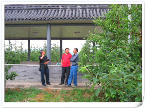 2011.5.26国家苹果产业技术体系青岛综合试验站来昌平天汇园参观交流 2011.5.26国家苹果产业技术体系青岛综合试验站来昌平天汇园参观交流