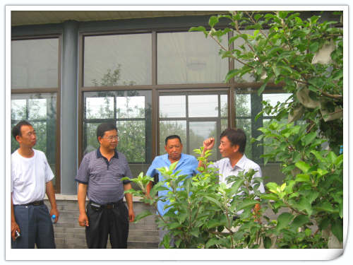 2011.7.11国家苹果产业技术体系甘肃平凉试验站领导来昌平参观交流 2011.7.11国家苹果产业技术体系甘肃平凉试验站领导来昌平参观交流